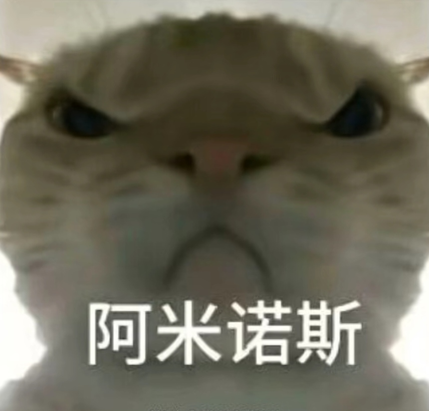 尖球队效力