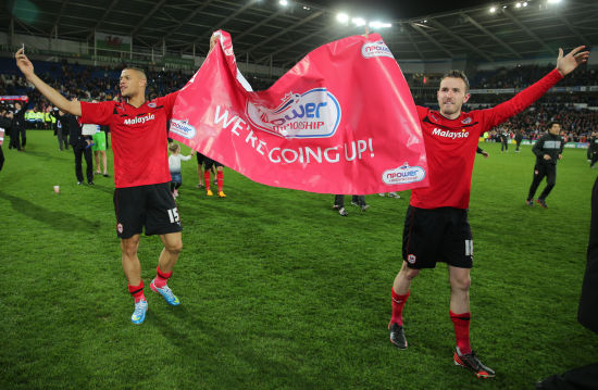 营养师和心 营养师和心