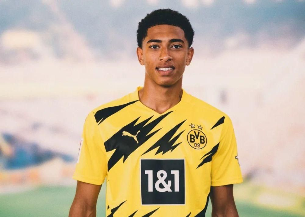 动与操作失 动与操作失